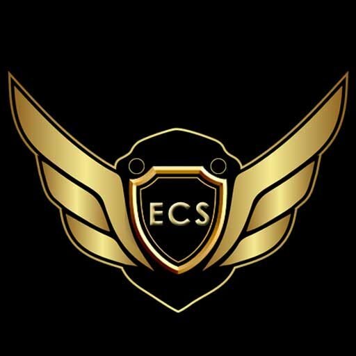 Elite Car Services Logo Footer