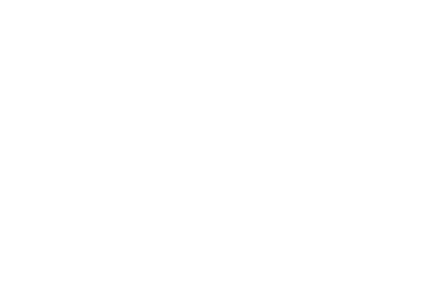 FAQ 1 Limousine Services - How can I contact helpdesk